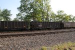 NS 10250